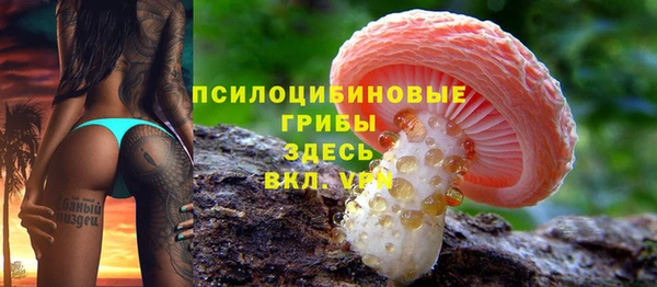 индика Абдулино