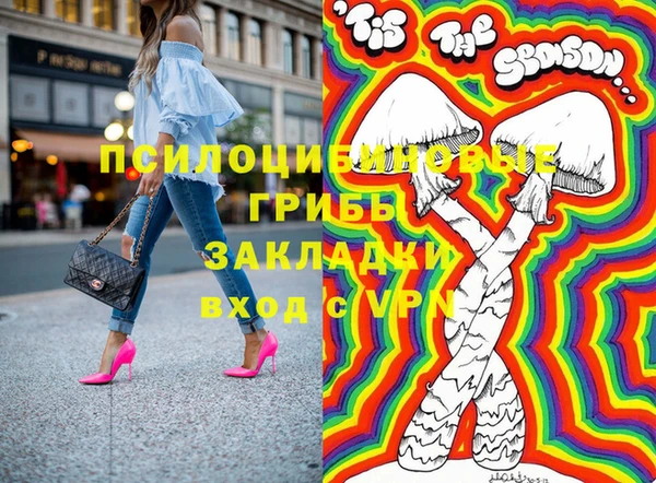 бошки Абинск