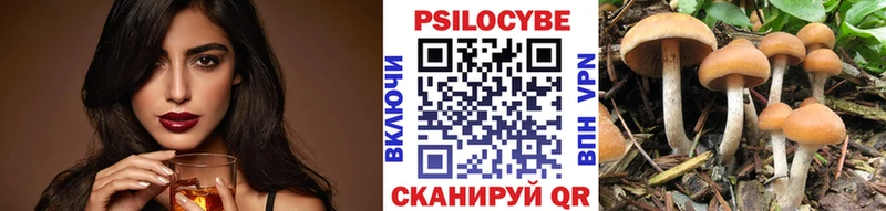 Псилоцибиновые грибы GOLDEN TEACHER  блэк спрут как зайти  Пойковский 